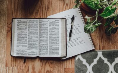 How to Read and Interpret the Bible – Dr. Chris Ansberry – GLI Course Review