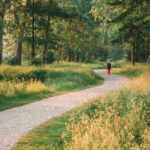becoming a dream disciple of Jesus